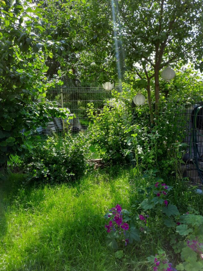 Gaestewohnung Am Thuemmlitzwald Grimma Eksteriør billede